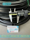Ron cao su EPDM chữ P 30x20x3